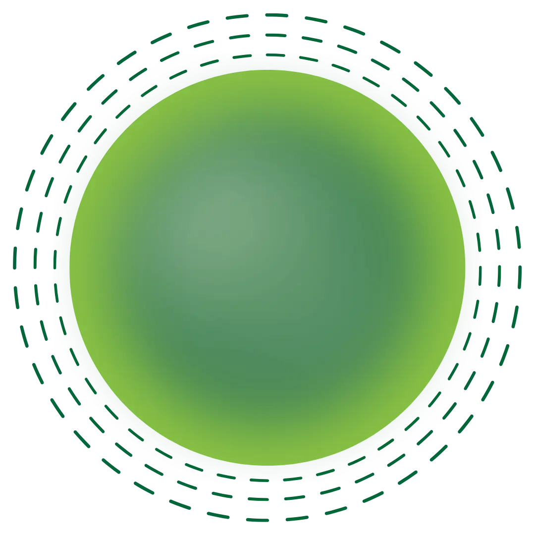 Circale Shape